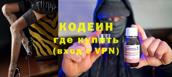 хмурый Инта