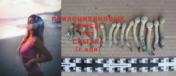 хмурый Инта