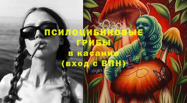 экстази Калининец