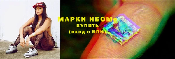 шишки Нестеровская