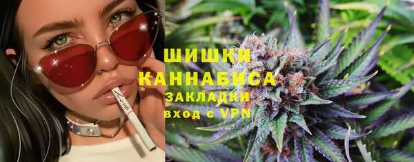 хмурый Инта