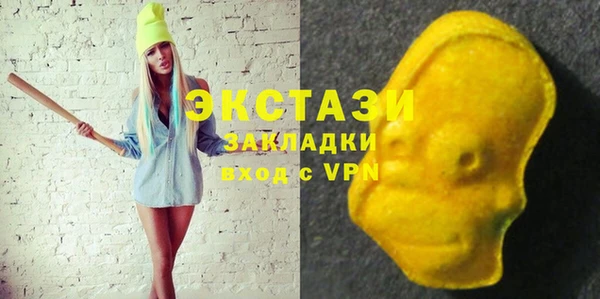 хмурый Инта