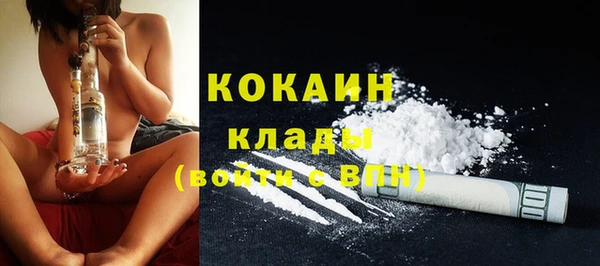 хмурый Инта
